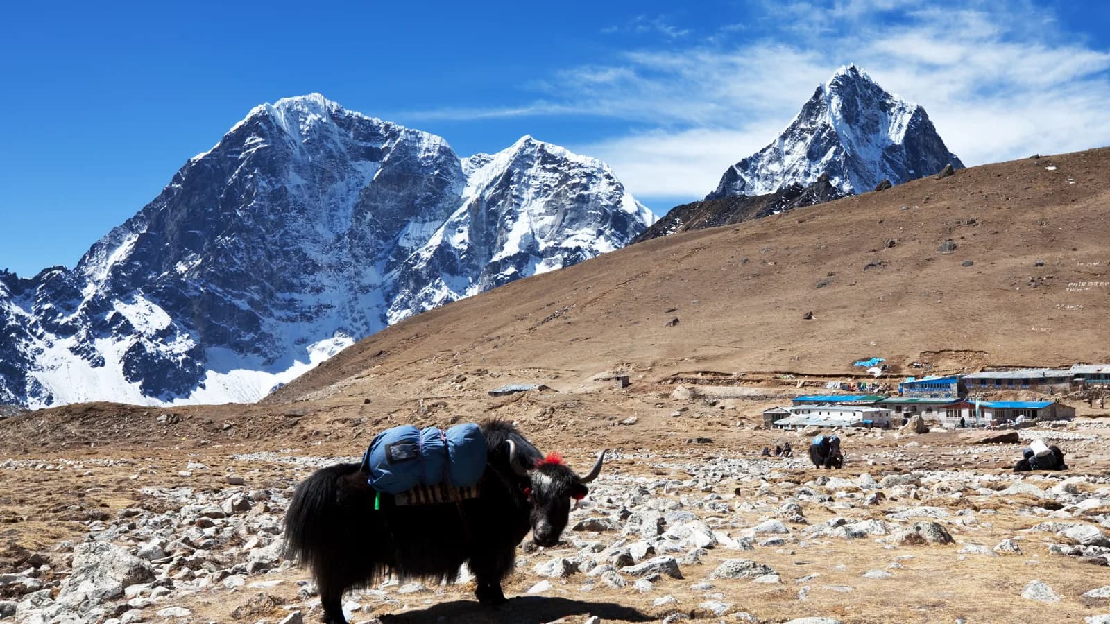 NRI Kailash Yatra Health Guide: Altitude, Insurance and Fitness