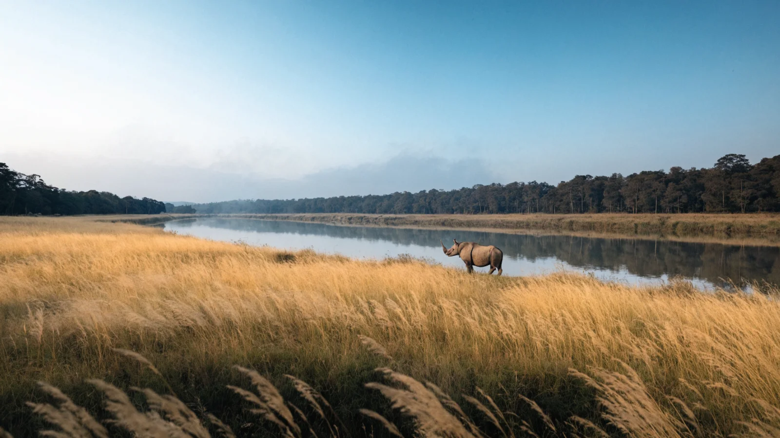 Chitwan & Terai Region travel destination